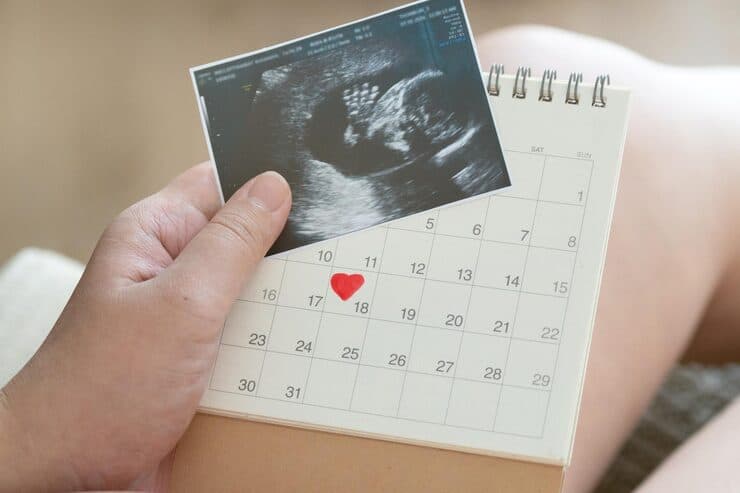 Quantos ultrassons fazer na gravidez? O calendário completo do pré-natal